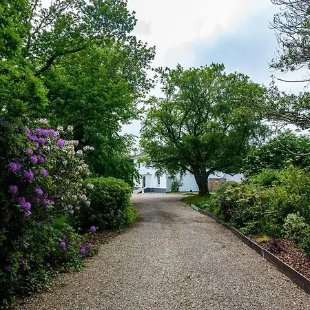 The Oak Studio-kilpatrick Glebe, Pet Friendly Wexford