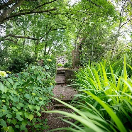 Apartment The Oak Studio-kilpatrick Glebe, Pet Friendly
