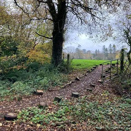 The Oak Studio-kilpatrick Glebe, Pet Friendly Lägenhet Wexford