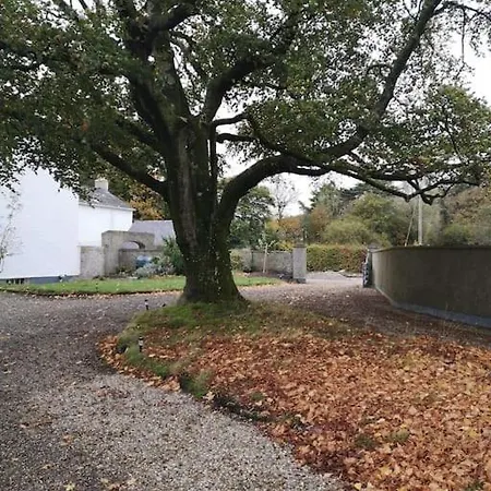 The Oak Studio-kilpatrick Glebe, Pet Friendly