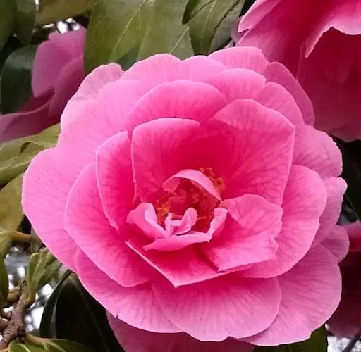 The Oak Studio-kilpatrick Glebe, Pet Friendly * Wexford