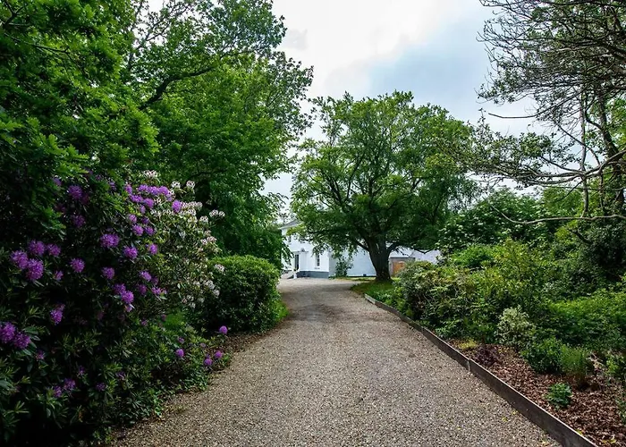 The Oak Studio-kilpatrick Glebe, Pet Friendly Wexford