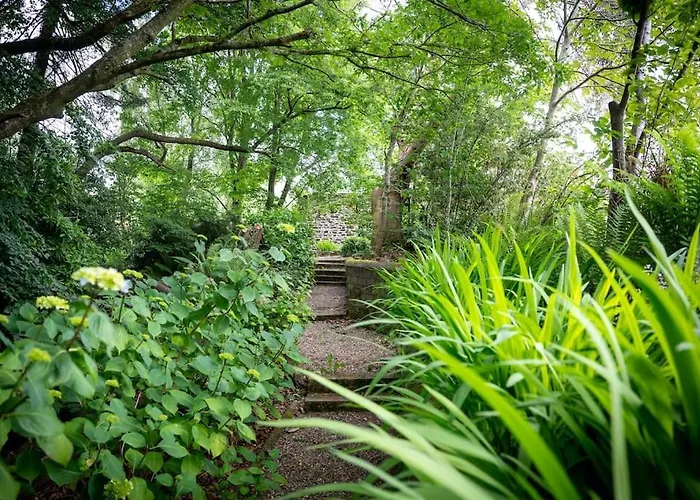 Apartment The Oak Studio-kilpatrick Glebe, Pet Friendly