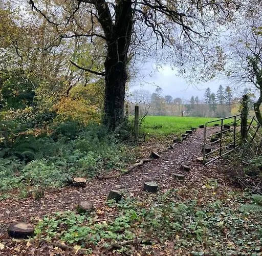 The Oak Studio-kilpatrick Glebe, Pet Friendly Apartament Wexford