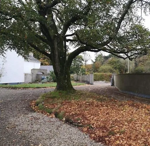 The Oak Studio-kilpatrick Glebe, Pet Friendly